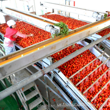 تجارتی ٹماٹر کی چٹنی کیننگ بنانے والی مشین